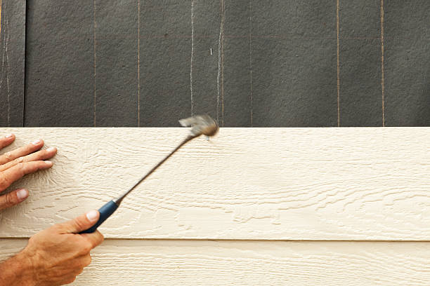 Best Brick Veneer Siding  in Collegedale, TN
